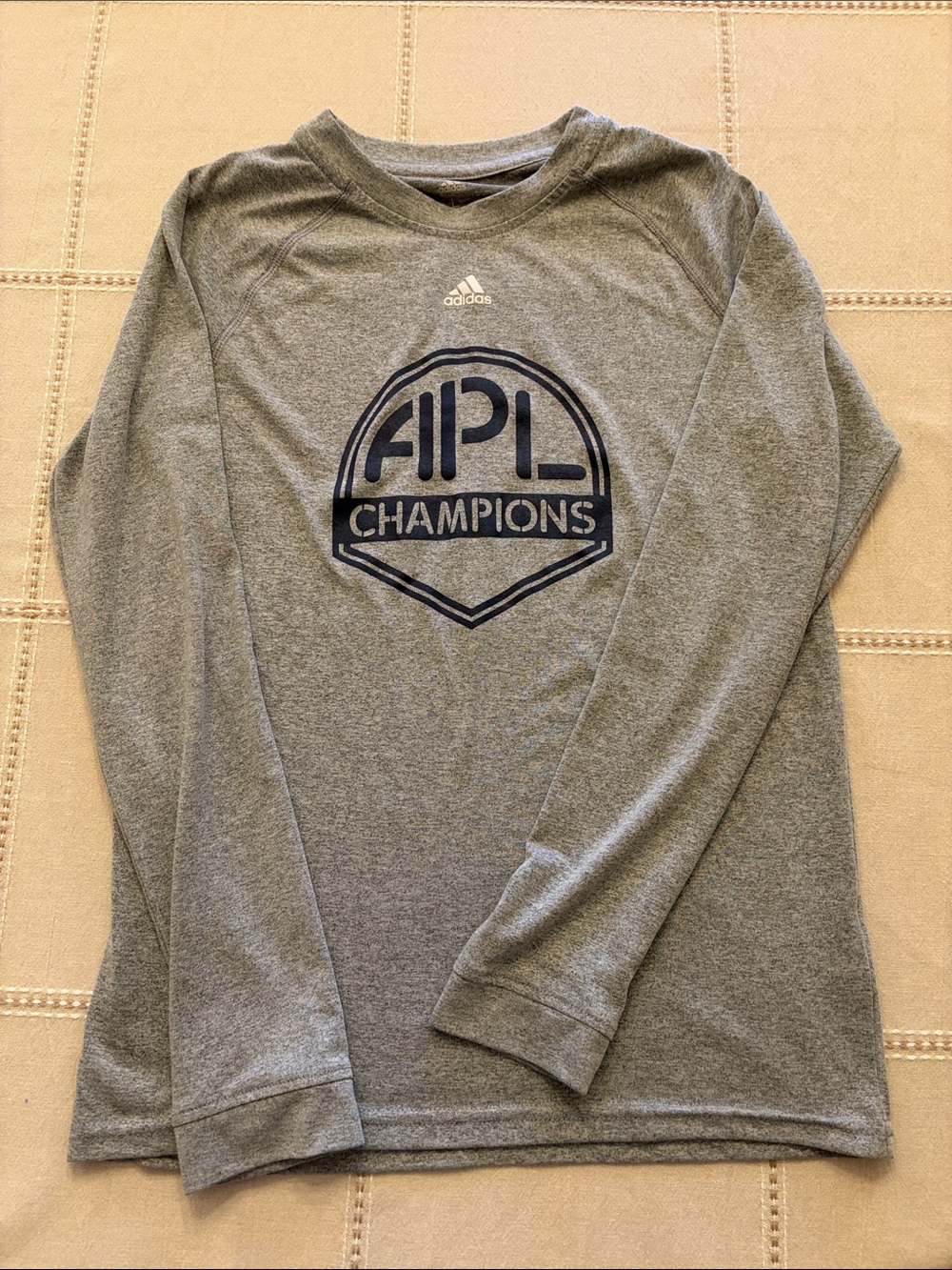 adidas Gray Long Sleeve APL Champions Performance Tee